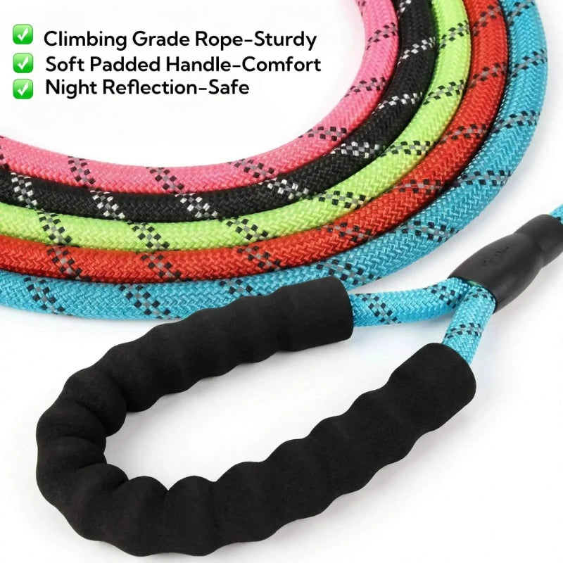 A coiled reflective nylon dog leash with a padded handle shown in various colors and a detached leash section.
