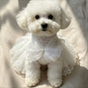 Adorable Princess Dress for Small Dogs and Cats