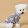 A white dog wearing a light blue knit sweater with a gray plaid pattern.