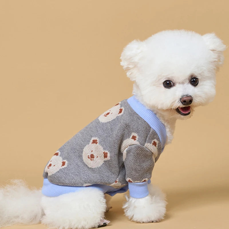 A white dog wearing a light blue knit sweater with a gray plaid pattern.