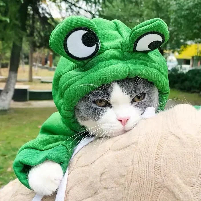 Frog-Shaped Hoodie for Dogs and Cats
