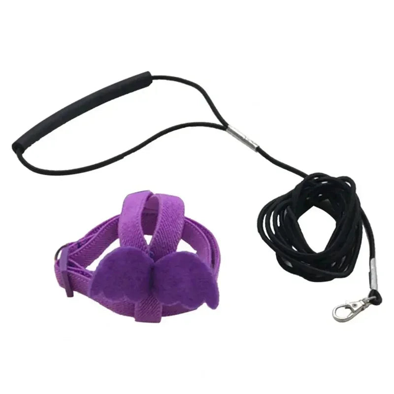 Purple ultra-light parrot flying harness with a black strap and clip.