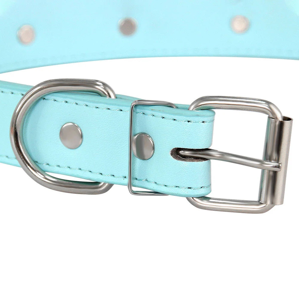 Light blue padded leather dog collar with silver hardware and rivets