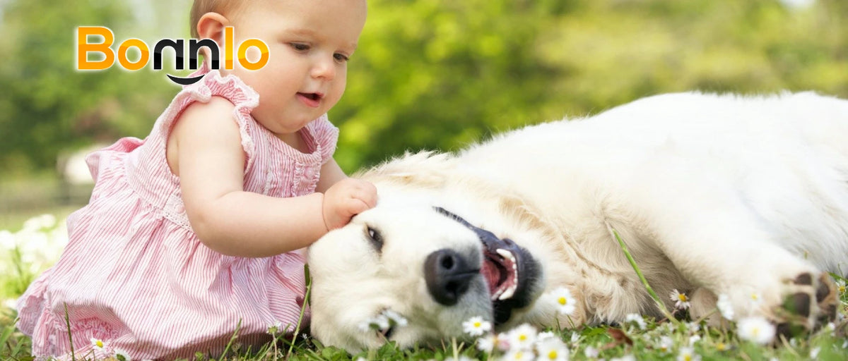 A baby is sitting next to a white dog lying on the grass.