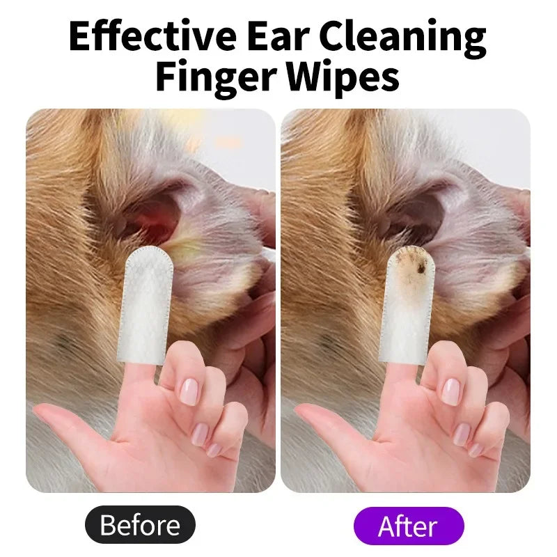 Images avant et après montrant des lingettes nettoyantes pour oreilles efficaces utilisées sur l'oreille d'un chien.