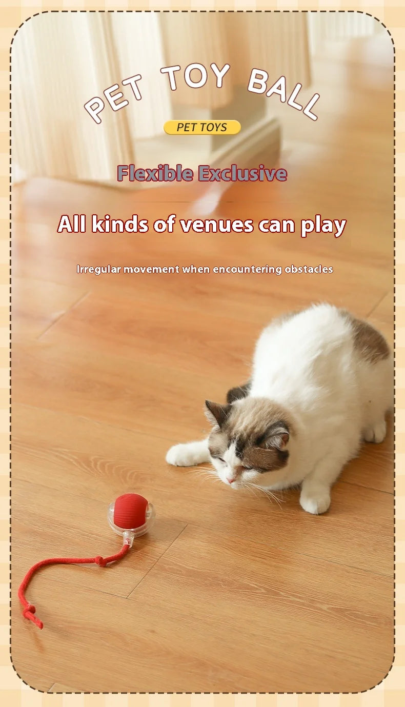 Interactive Rolling Cat Toy with Faux Tail
