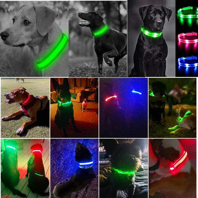 Various images showing a pet safety light collar in different colors and usage contexts.