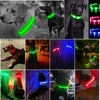 USB Charging Glowing Dog Collar with Pendant - Night Safety