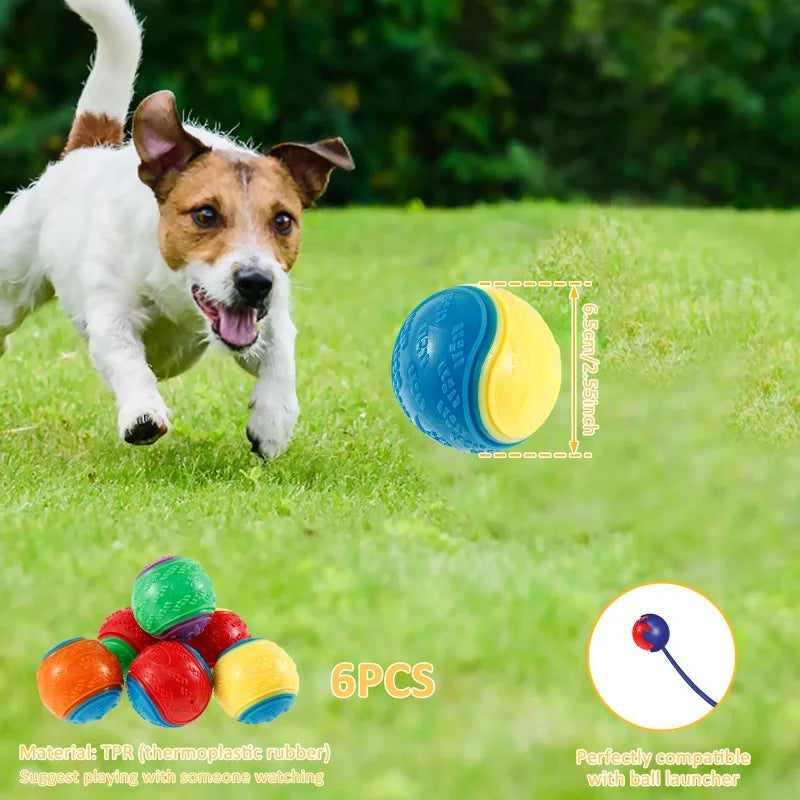 Squeaky Dog Balls (6-Pack) – Durable TPR Chew Toys for Interactive Play