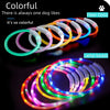USB-aufladbarer LED-Hundehalsband