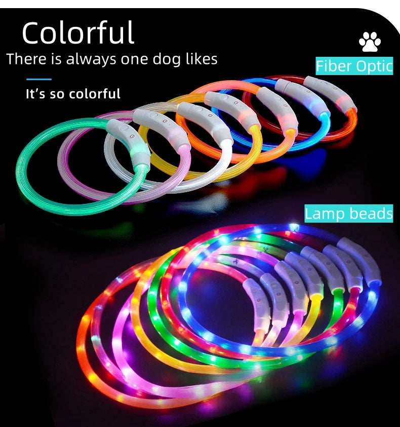 USB-aufladbarer LED-Hundehalsband