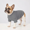 Cozy Solid Color Pet Sweater for Small Dogs