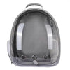 A transparent gray portable backpack designed for pets, featuring a handle and mesh lining.