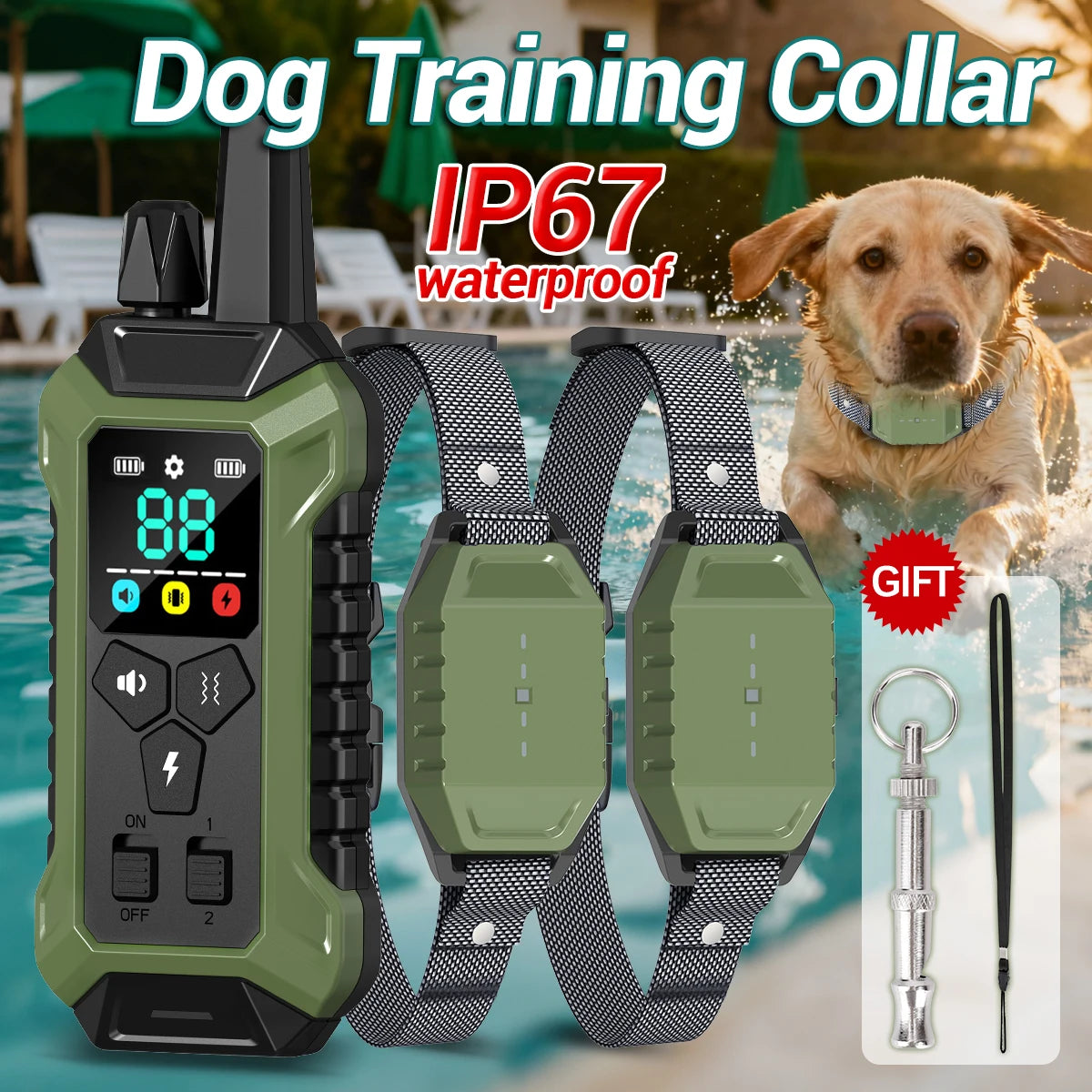 A green dog training collar with a remote control and leash is shown next to a golden dog in water.