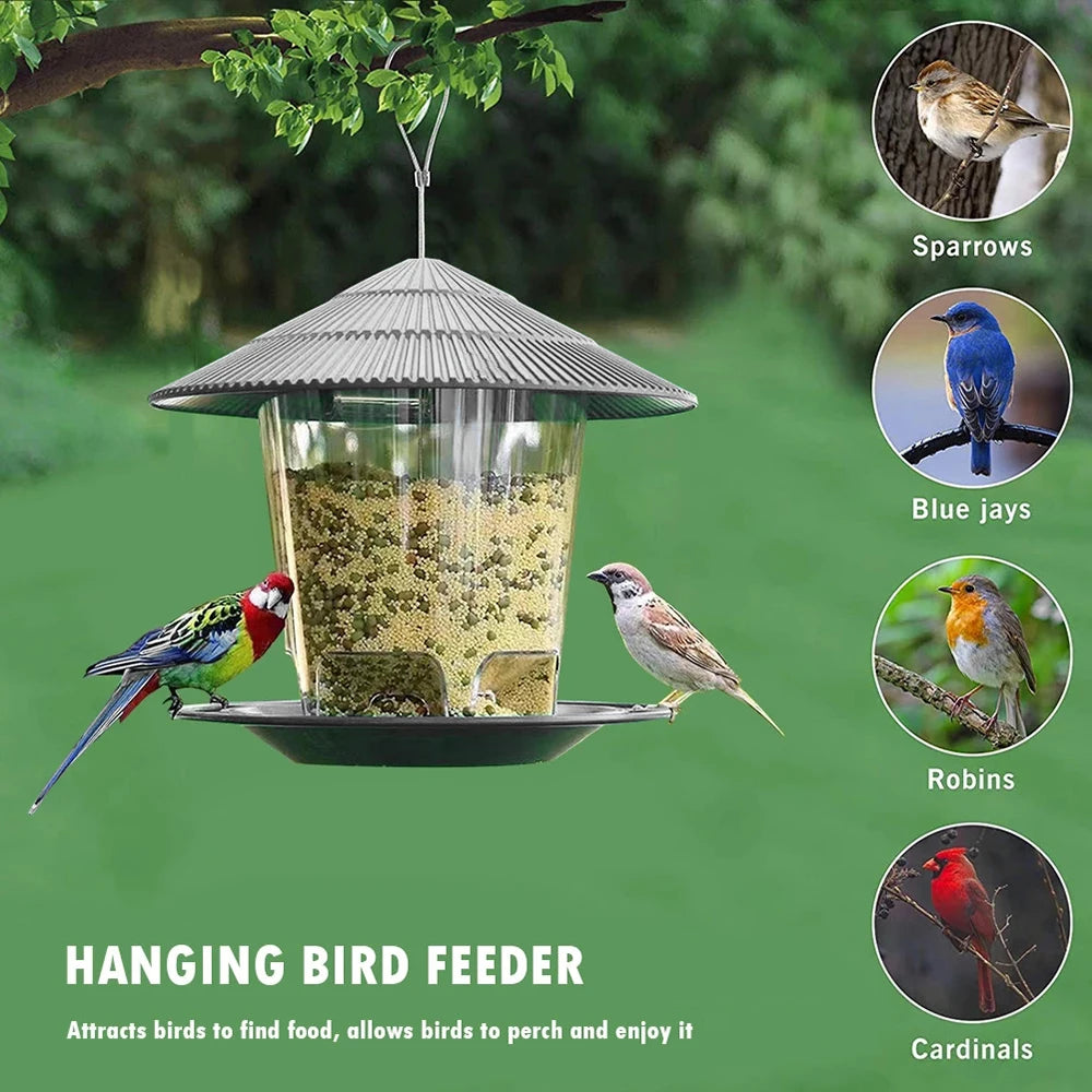 A hanging bird feeder filled with seeds, attracting various wild birds like sparrows, blue jays, robins, and cardinals.