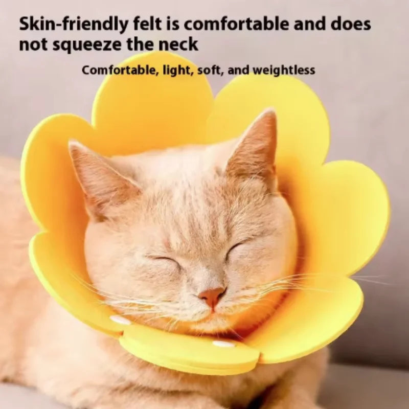 Collier de récupération en forme de fleur pour animaux, réglable