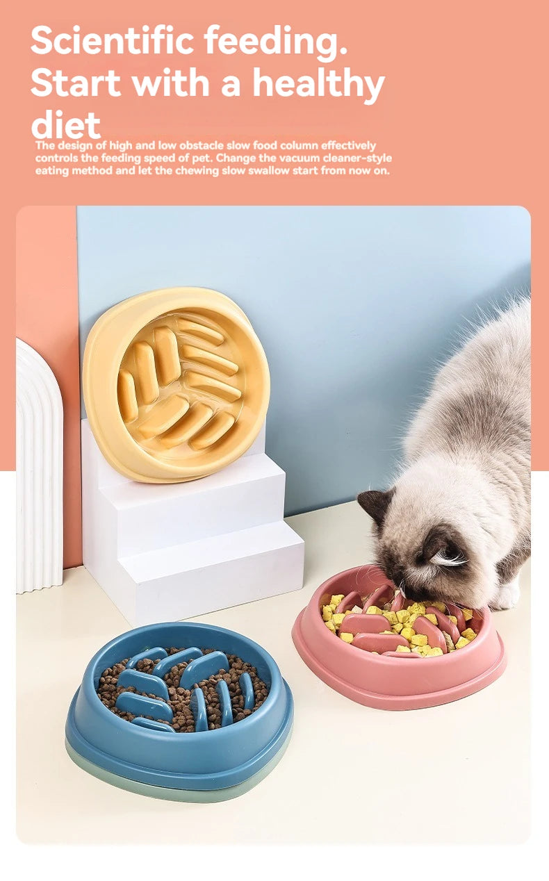A cat is eating food from a pink bowl, next to a yellow feeding device and a blue slow feeder bowl.