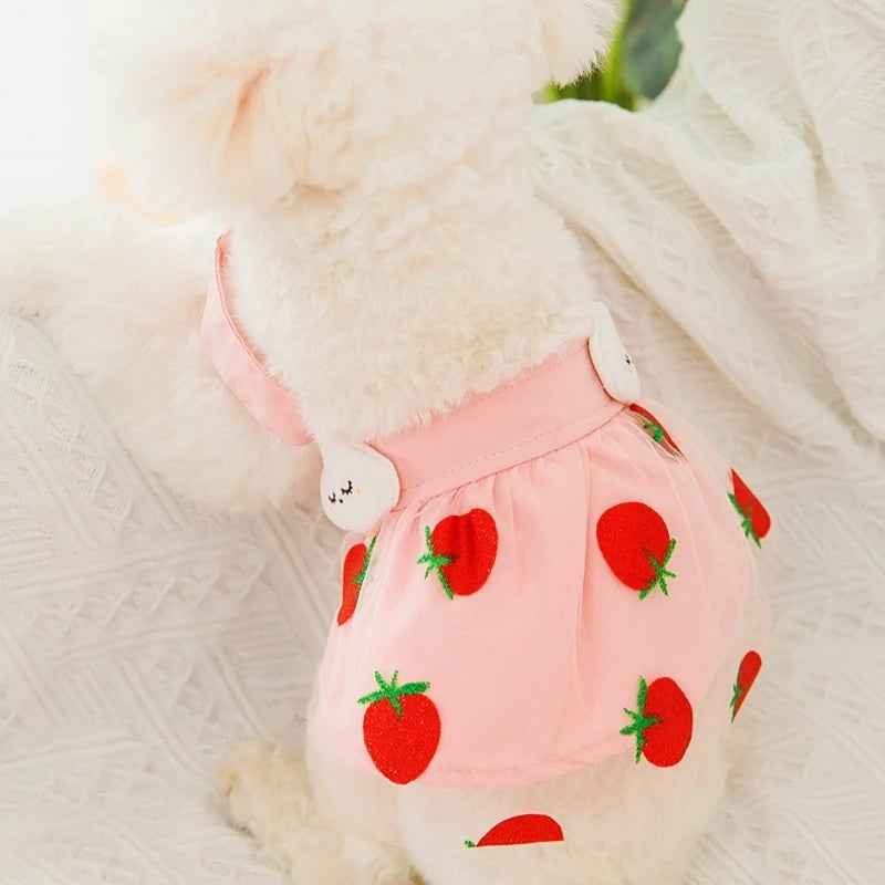 Princess Mesh Dog Dress with Bow Lace Trim