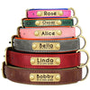 Personalisierte gepolsterte Leder-Hundehalsband mit graviertem Namensschild