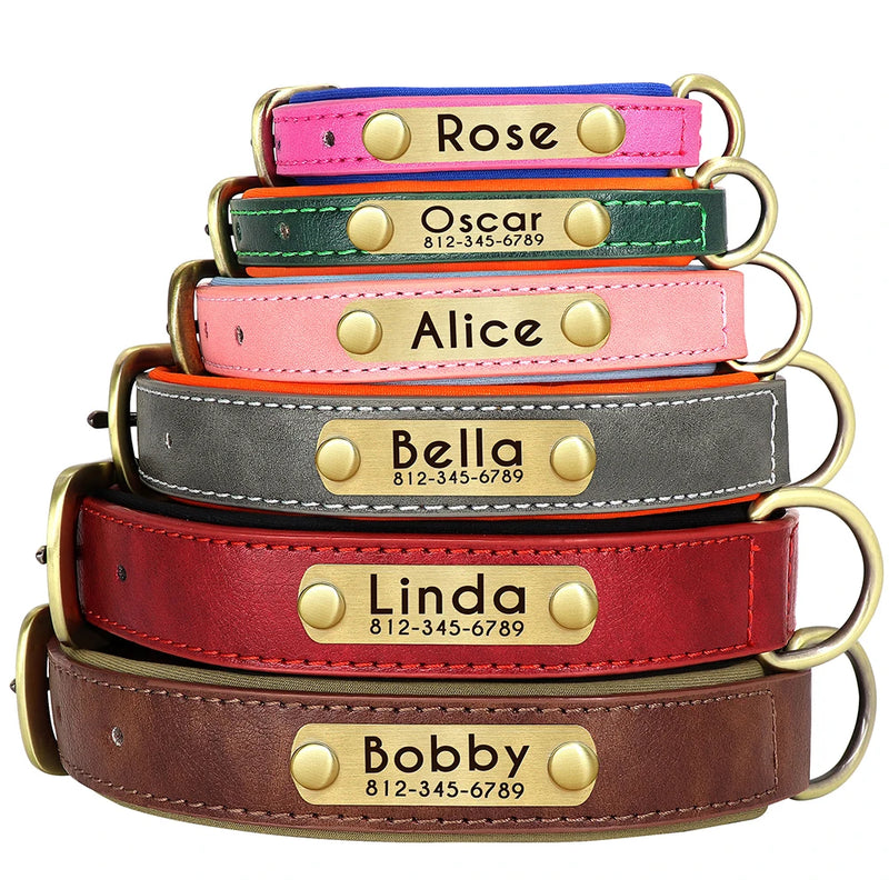 Personalisierte gepolsterte Leder-Hundehalsband mit graviertem Namensschild