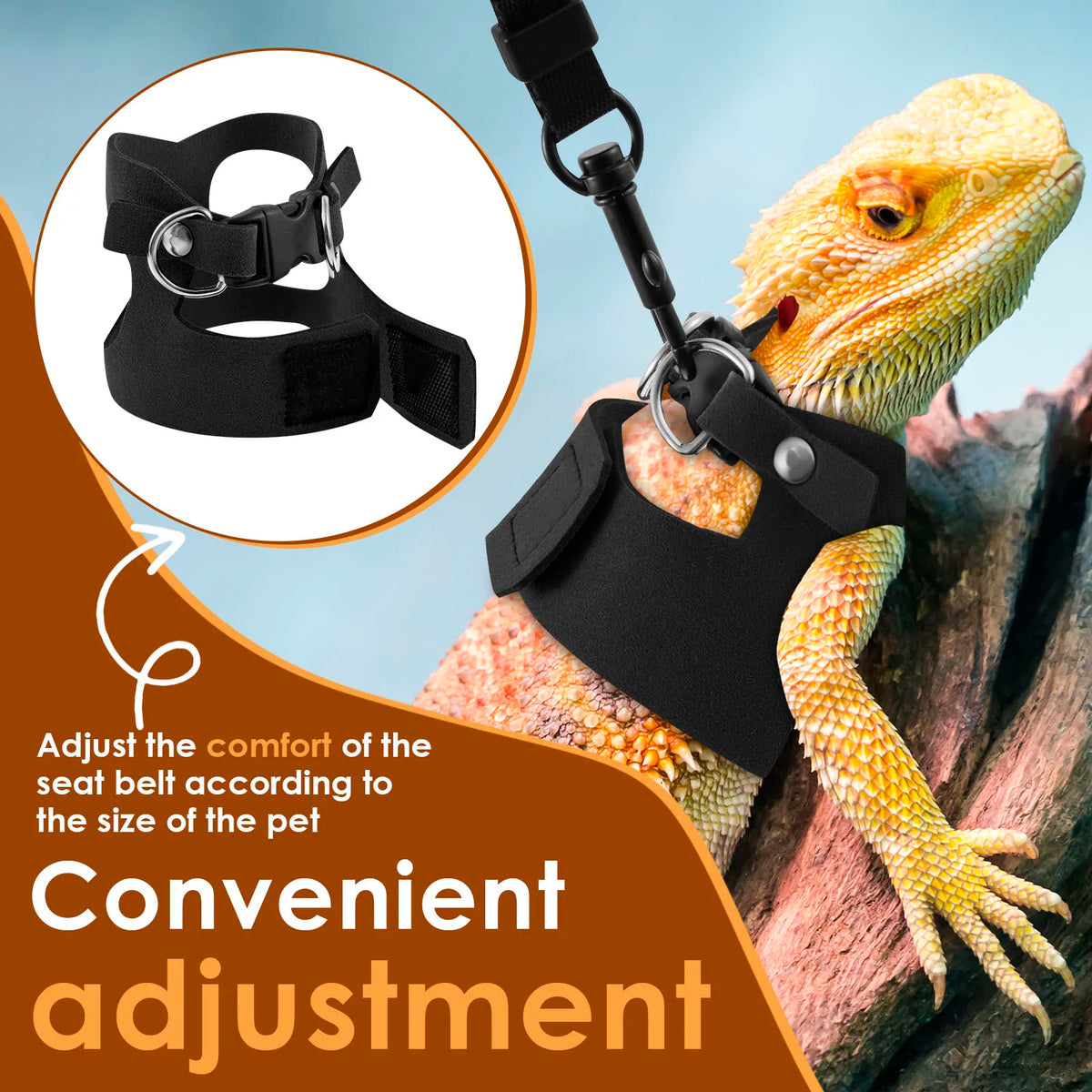 A close-up of a yellow lizard wearing a black soft leather harness and leash set for convenient adjustment.