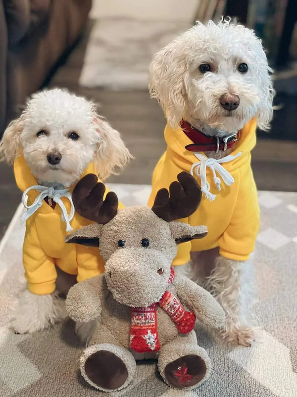 Sudadera con Capucha de Algodón para Perro con Estampa del Rey León