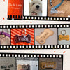 Personalized Stainless Steel Pet ID Tag