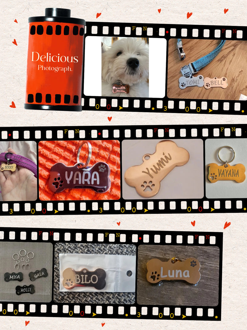 Personalized Stainless Steel Pet ID Tag