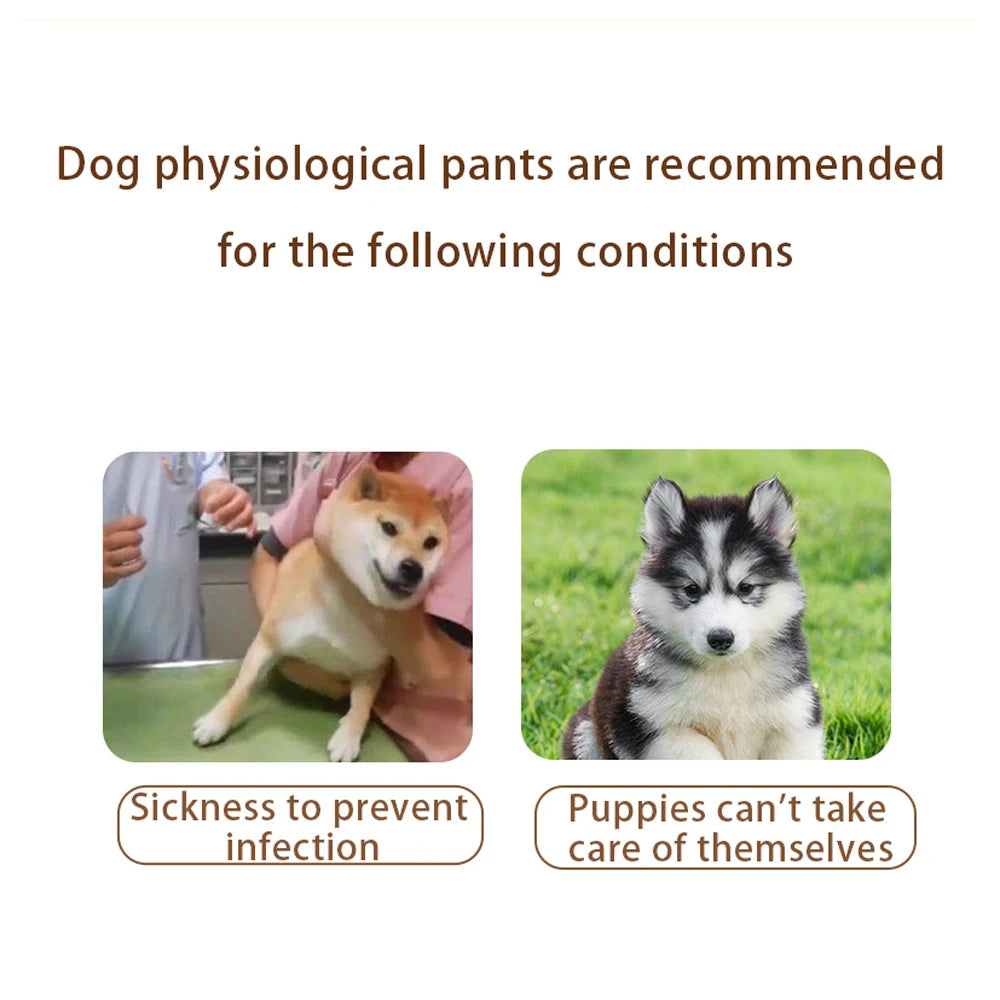Reusable Washable Dog Diapers for Female Dogs, High Absorbency Leak-Proof Sanitary Pant