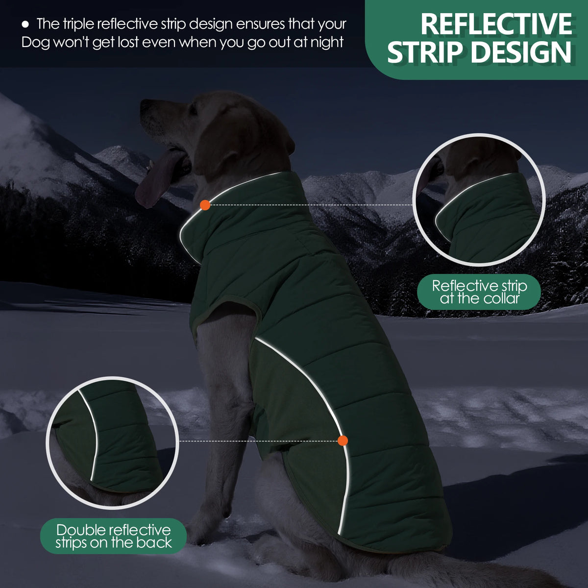Reflective Waterproof Dog Coat with Fleece Lining and Leash Hole