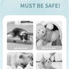 Interaktiver smarter Hundespielball