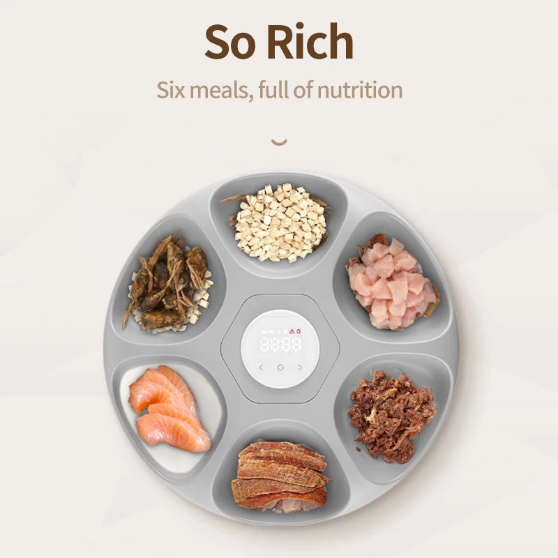 Un distributeur à six compartiments gris pour animaux, contenant diverses croquettes et morceaux de viande.