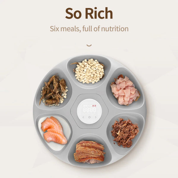 A gray six-compartment pet feeder displaying various dry foods and meat pieces for pets.