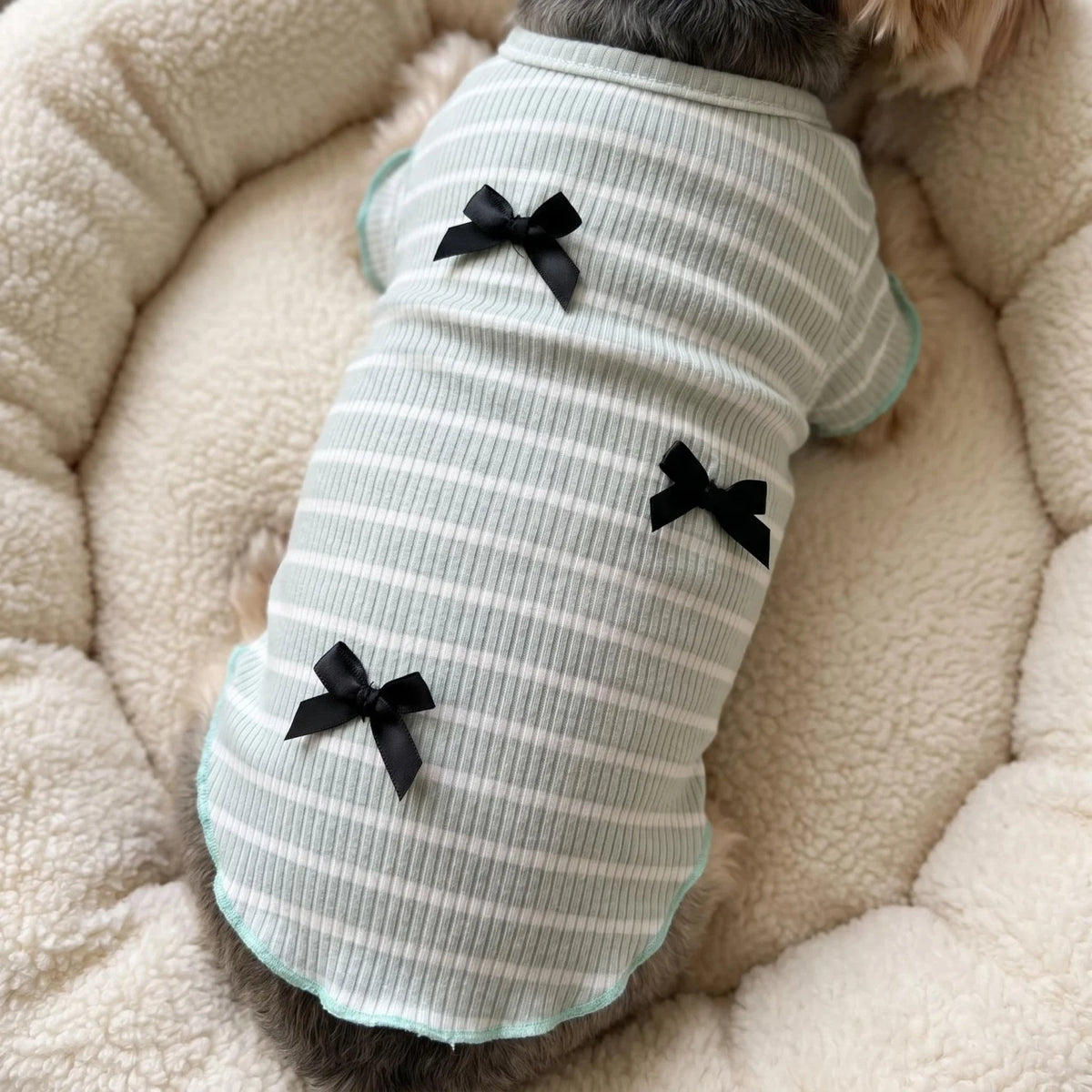 A light green and white striped knit dog shirt with black bows is lying on a fluffy beige surface.
