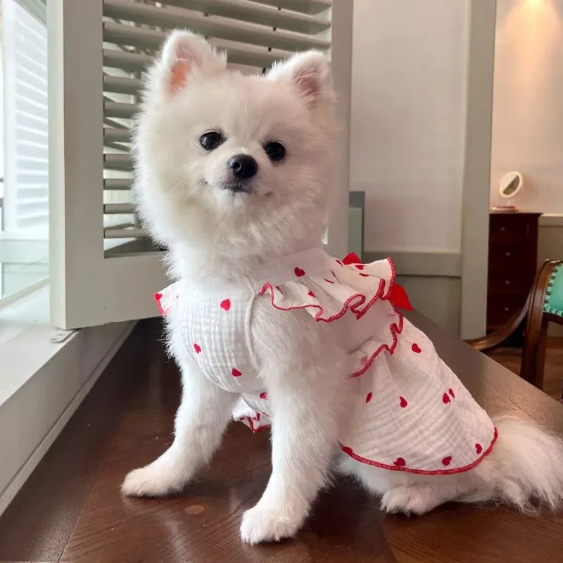 A fluffy white dog wearing an elegant summer dress with red polka dots and ruffled trim.