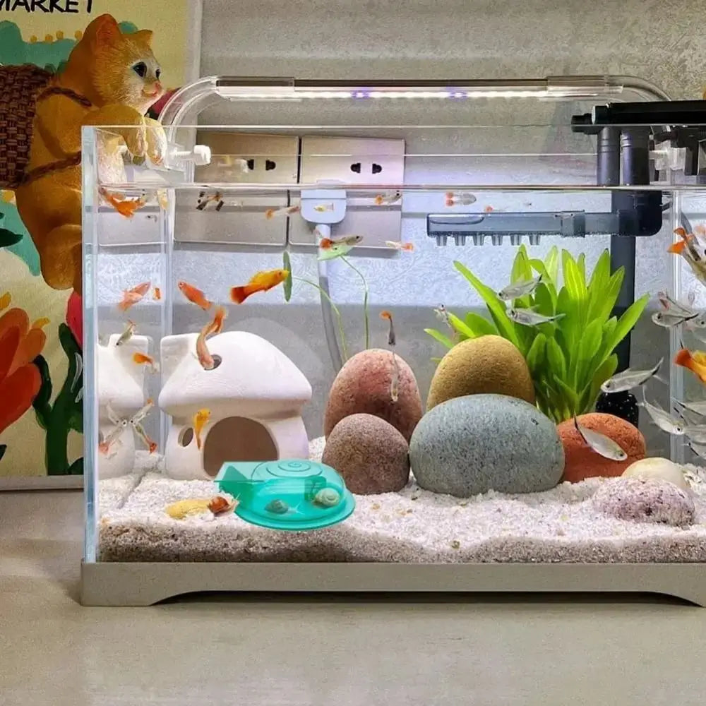 A clear acrylic trap for catching snails and small aquatic creatures in a tank, featuring various stones and plants.