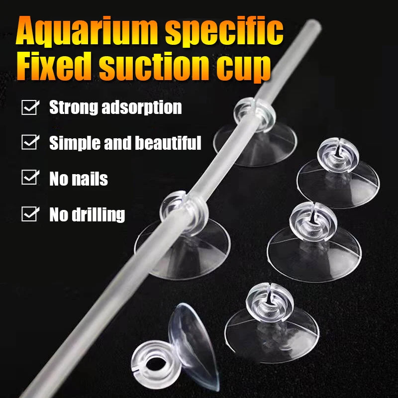 Support de tuyau d'aquarium avec ventouse