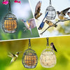 Hanging Metal Bird Feeder with Hook