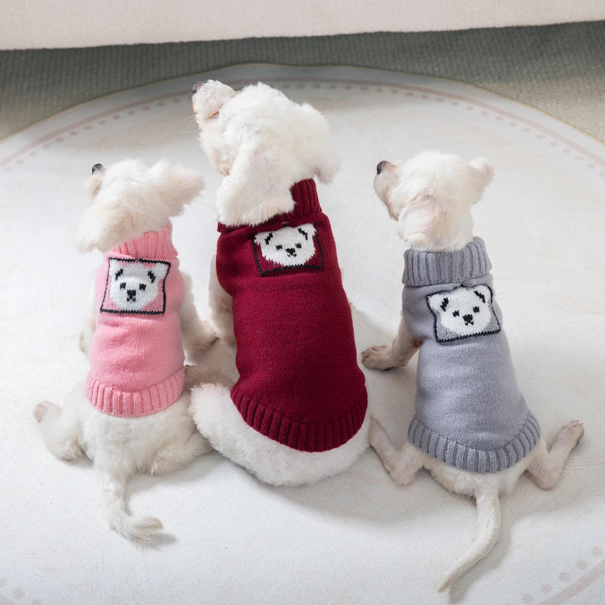 Three small white dogs wearing knitted winter pet sweaters in pink, maroon, and gray.