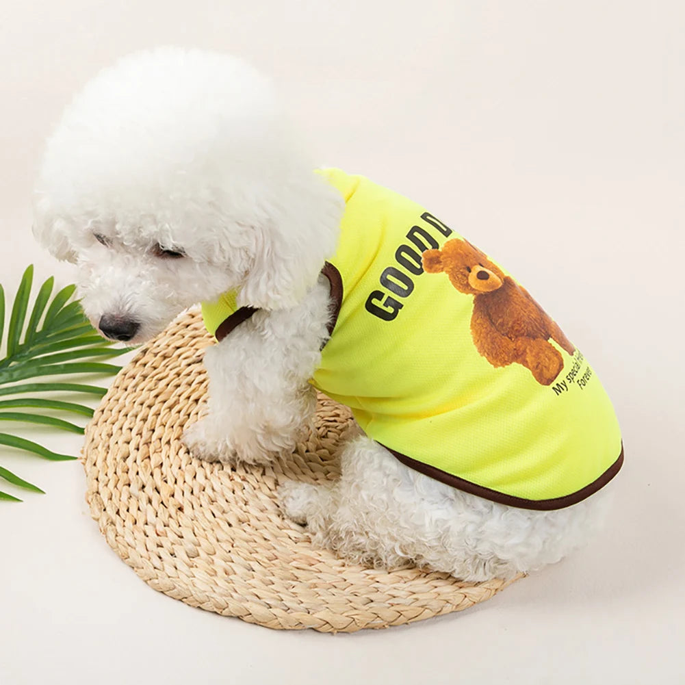 A white fluffy dog is wearing a bright yellow pet vest with an orange bear print, sitting on a woven mat.