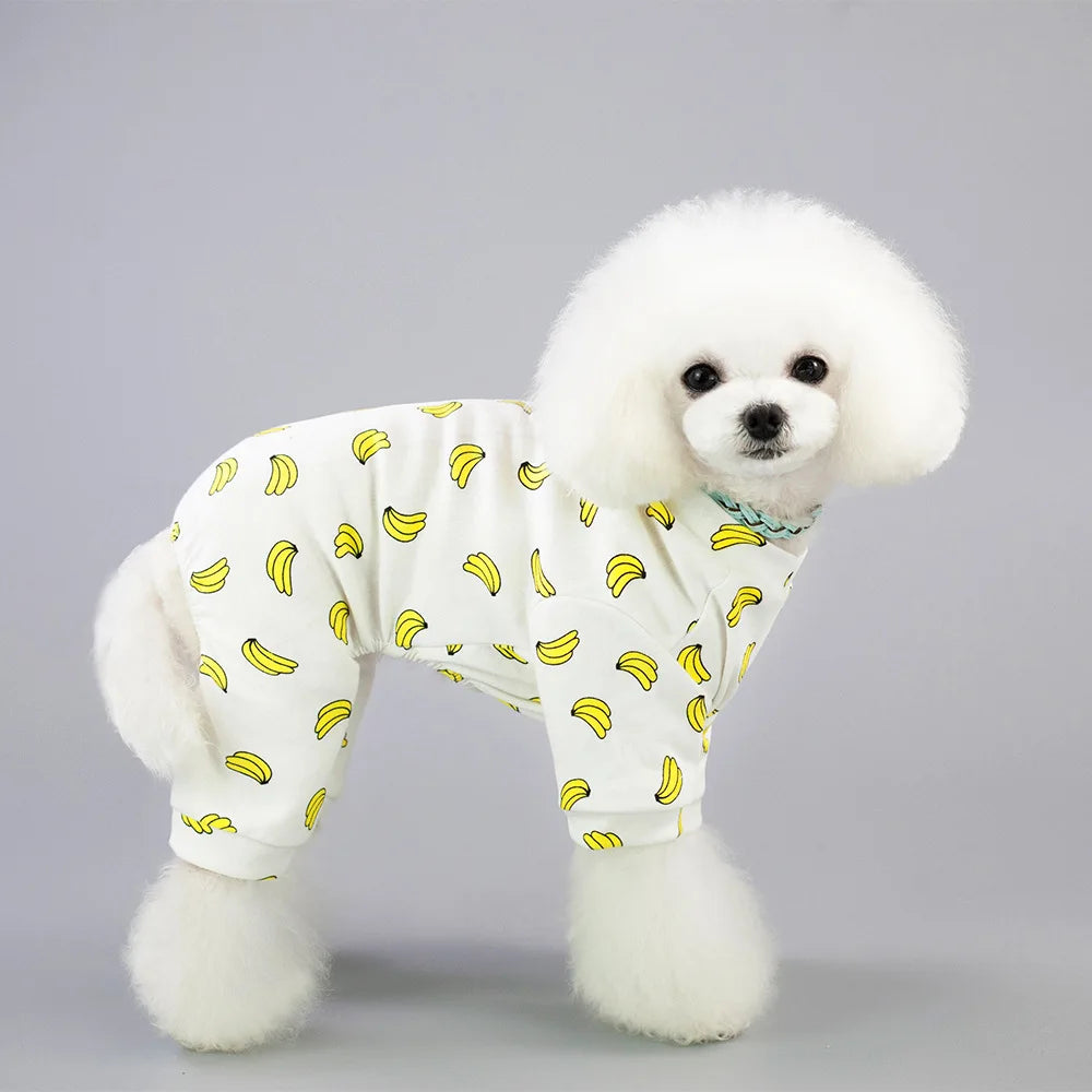 A white fluffy dog wearing a yellow corn decorated cotton pajama suit.