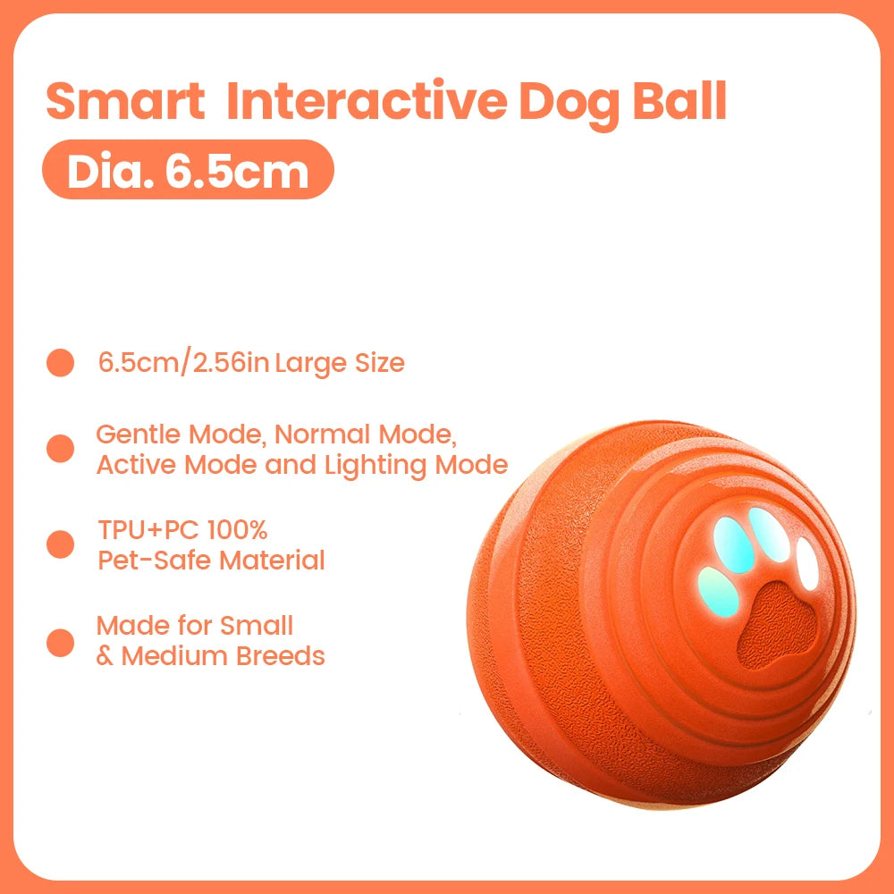 An orange smart interactive dog ball with a paw print design shown from above.