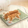Orthopedic Memory Foam Dog Bed with Removable Washable Cover