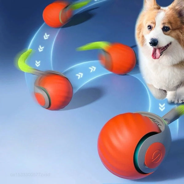 An orange interactive cat toy ball is shown in motion against a blue background, with a fluffy dog visible on the right.