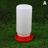 Automatic Poultry Feeder and Drinker Water Dispenser