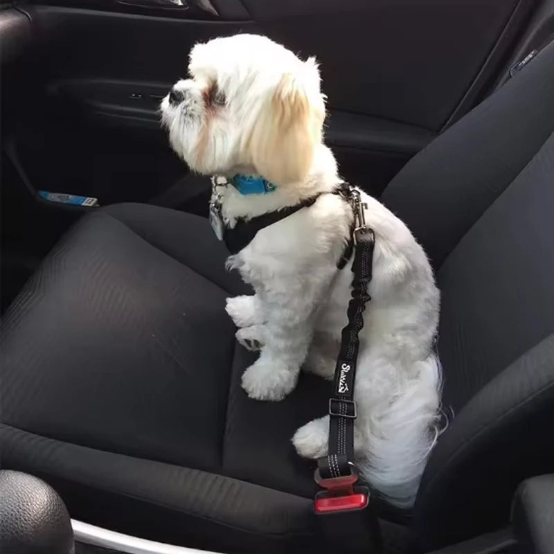 Ein weißer Hund mit schwarzem Sicherheitsgurt und blauer reflektierender Linie in einem Autositz.