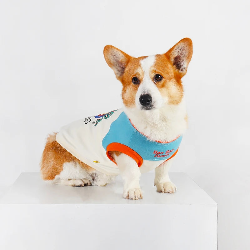 A small, fluffy Shiba Inu dog wearing a light blue and white Korean style vest.