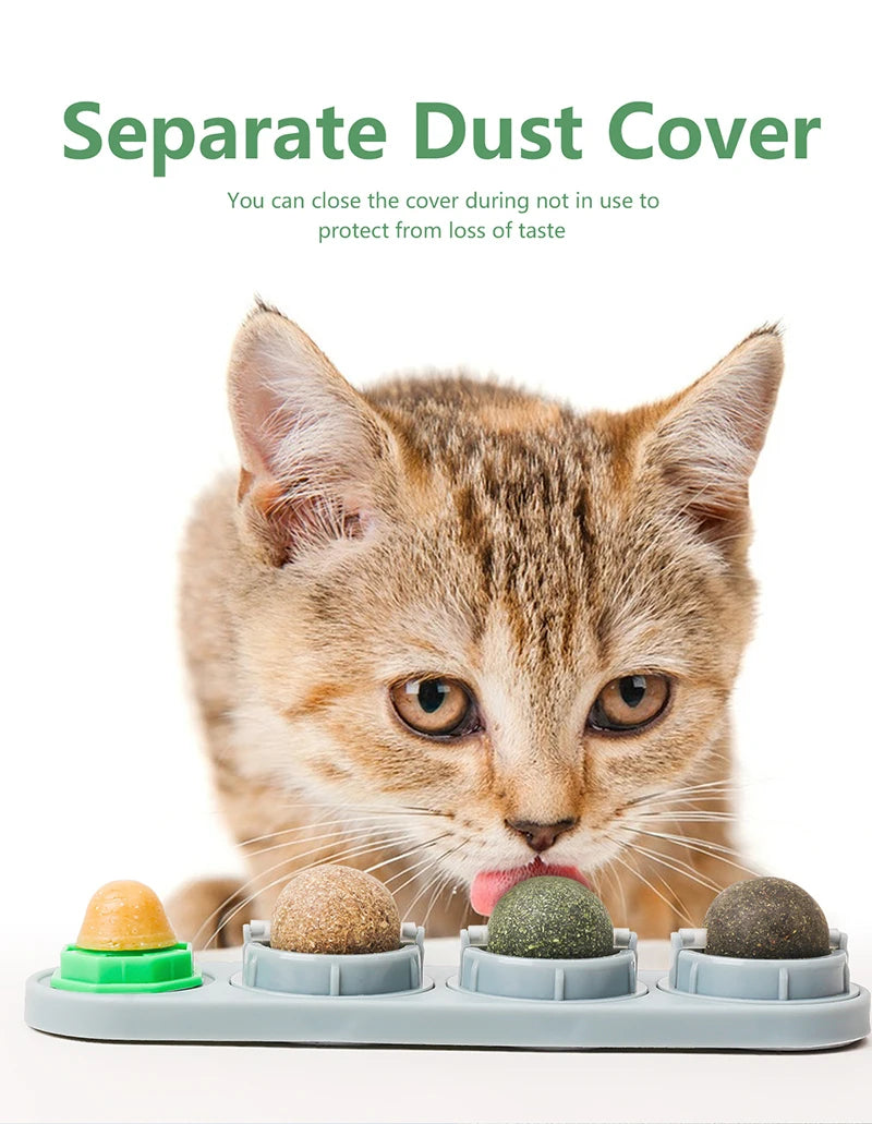 Edible Catnip Wall Balls for Dental Care and Play