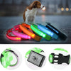 USB Charging Glowing Dog Collar with Pendant - Night Safety