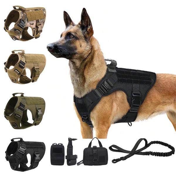 A set of tactical dog harness components including a collar, vest, and leash for large breeds.